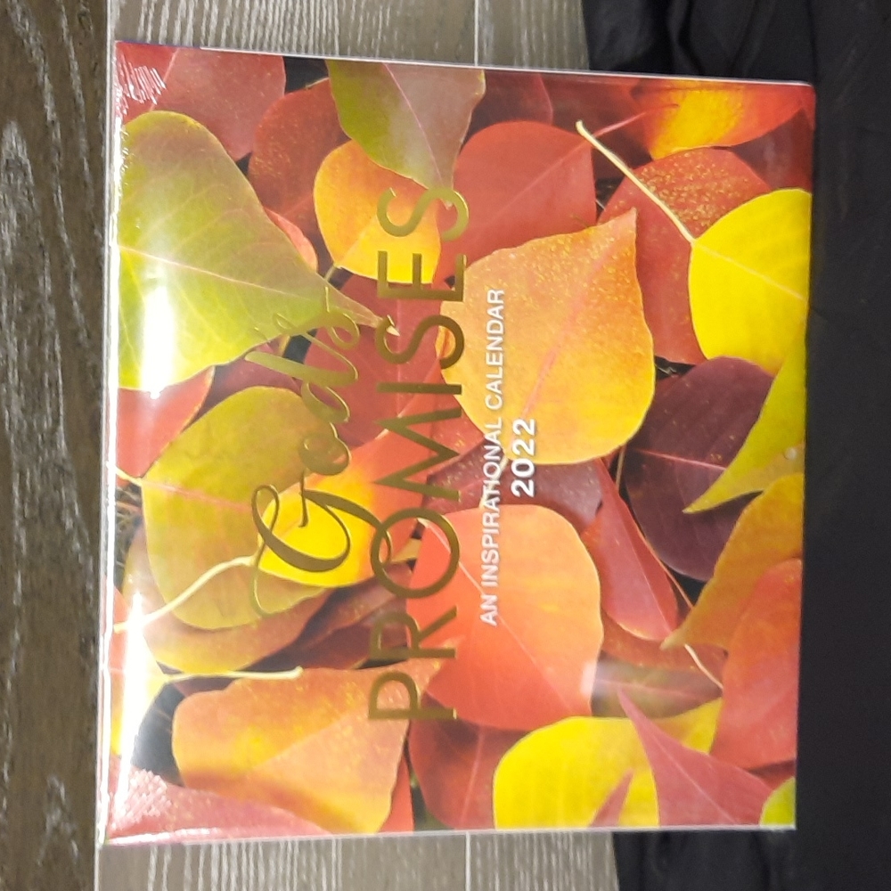 2022 God's promises Day spring inspirational wall calenders